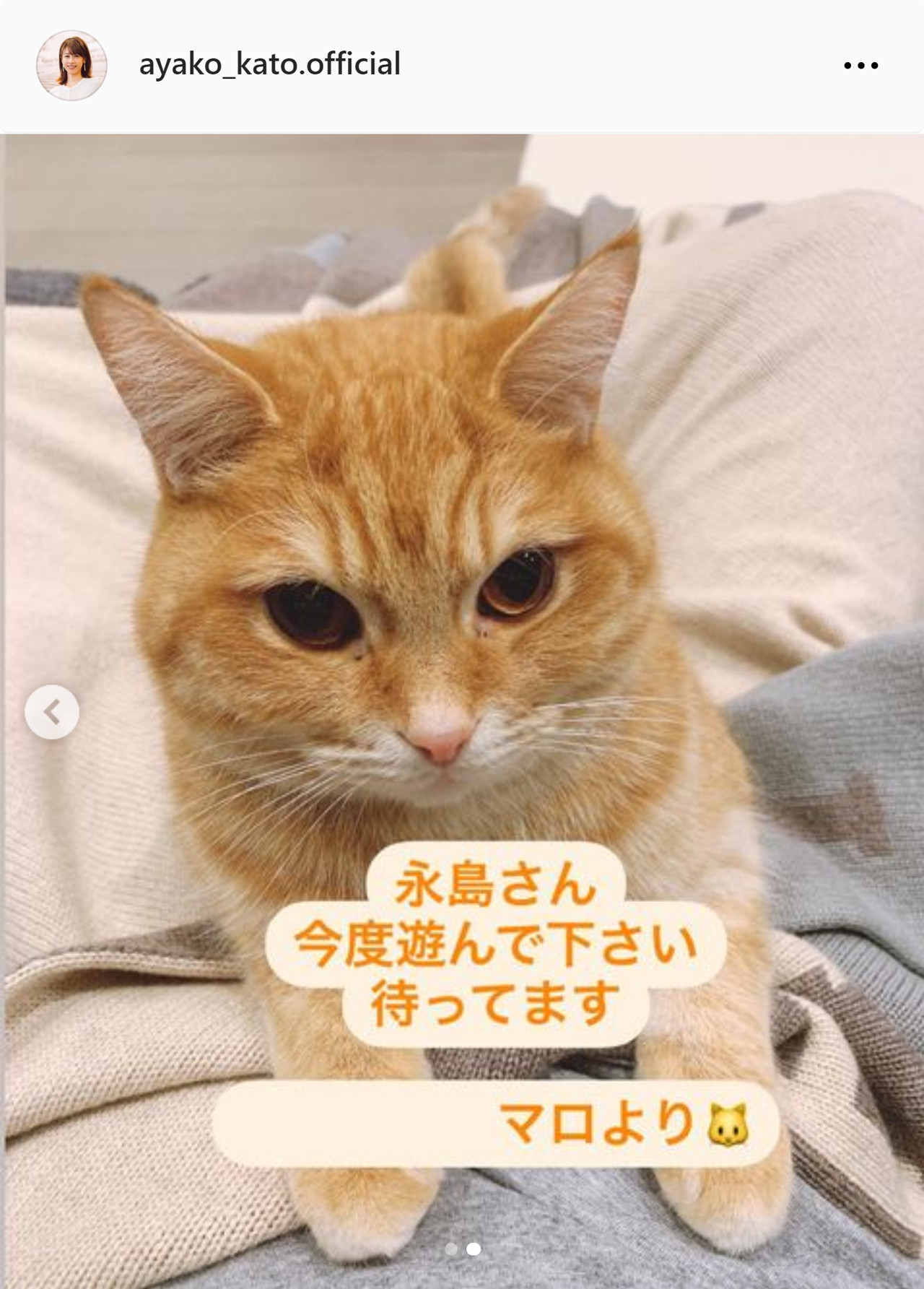 加藤綾子アナの愛猫マロ（加藤綾子アナのインスタグラムから）