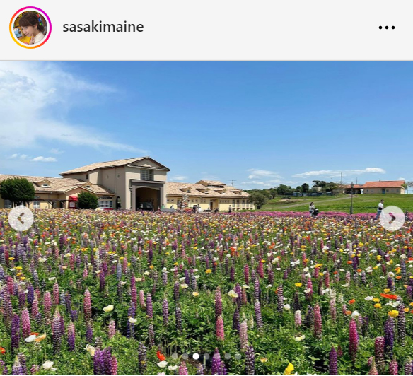 TBS佐々木舞音アナウンサーのインスタグラムから