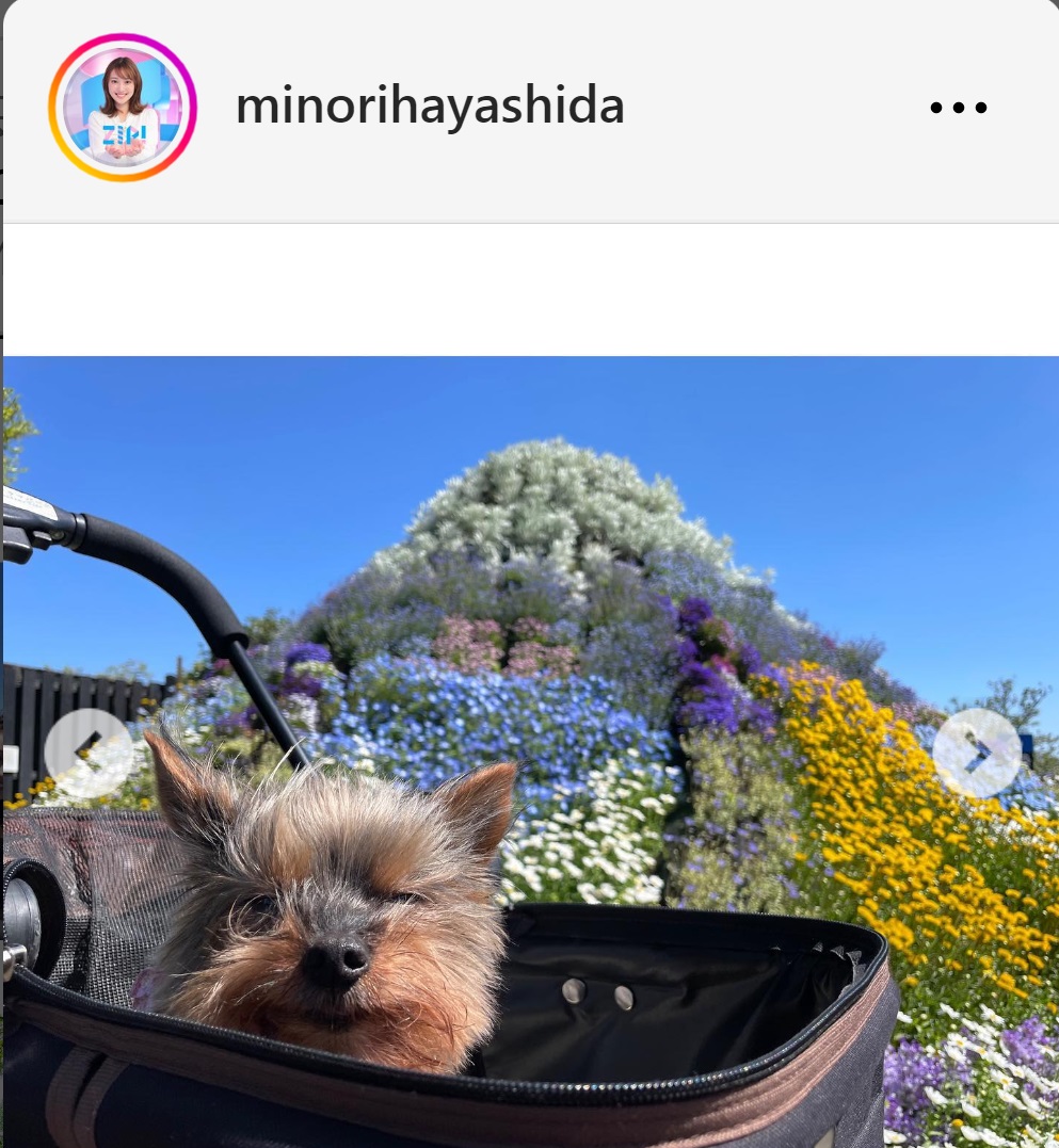 林田美学アナのインスタグラムから