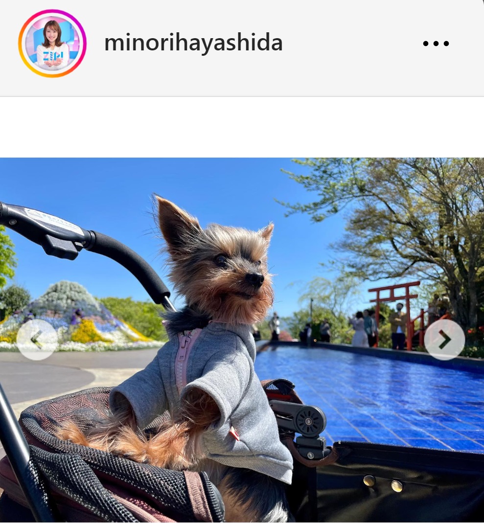 林田美学アナのインスタグラムから