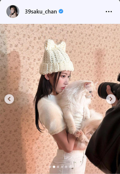 LE SSERAFIMのSAKURA ネコとの2ショット「ネコになりたい」 - 韓国
