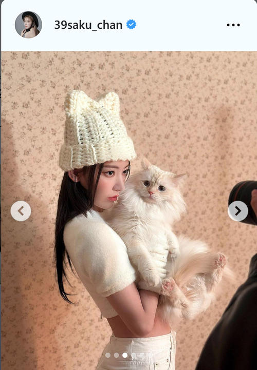 LE SSERAFIMのSAKURA ネコとの2ショット「ネコになりたい」 - 韓国