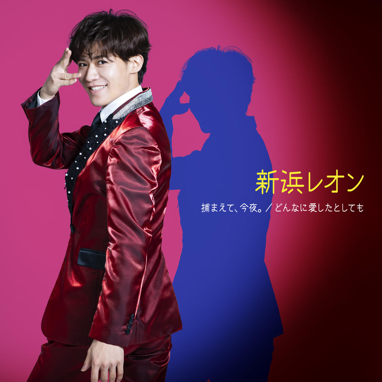 シングル「捕まえて、今夜／どんなに愛したとしても」の「がんばレオン盤」