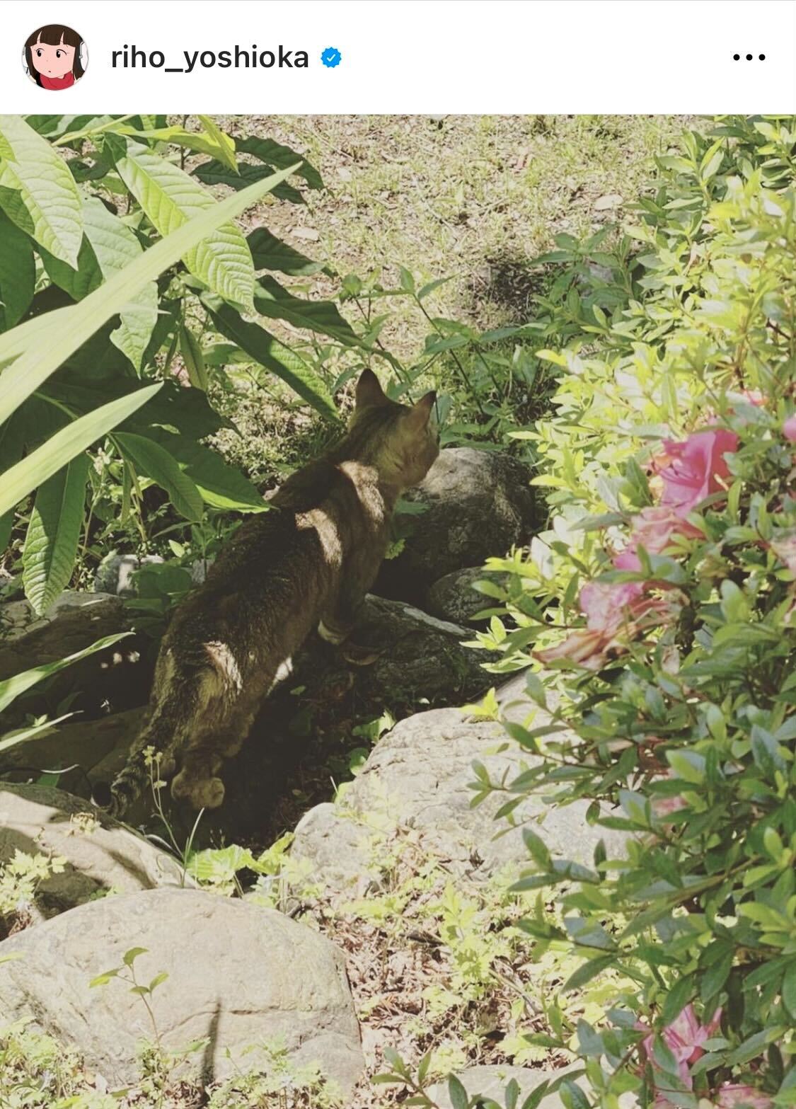 写真集「里帆採取」のデジタル版カット（吉岡里帆のインスタグラムから）