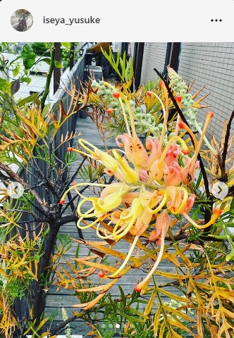 伊勢谷友介「発展途中」スケボーを「次の社会システムの構築と同じ」と例え「無様でもやりたい」 - 芸能写真ニュース : 日刊スポーツ