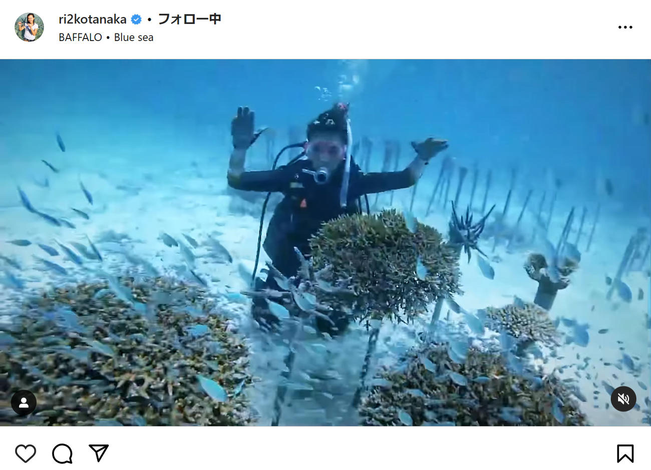 田中律子のインスタグラムから
