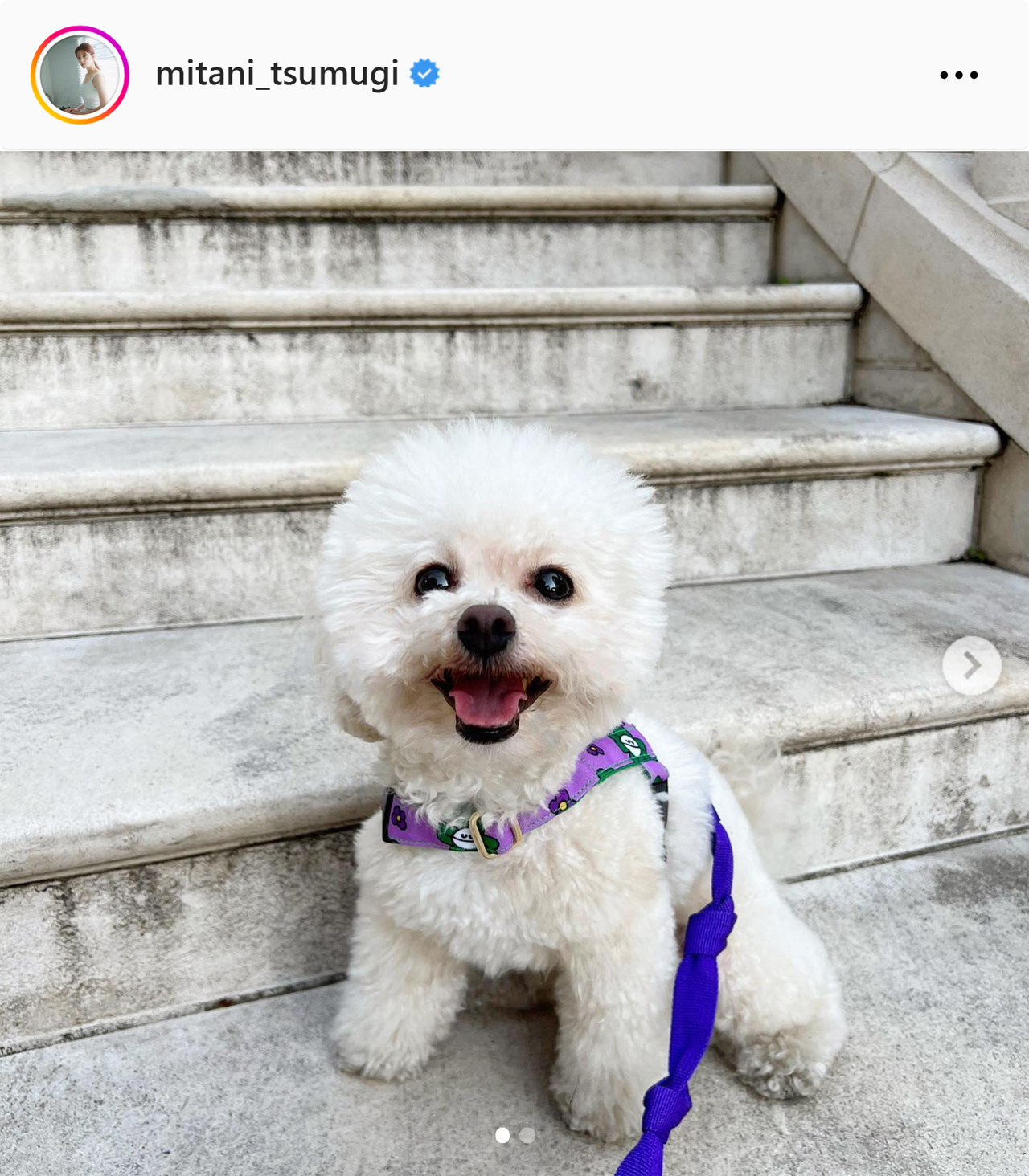 三谷紬アナのインスタグラムから