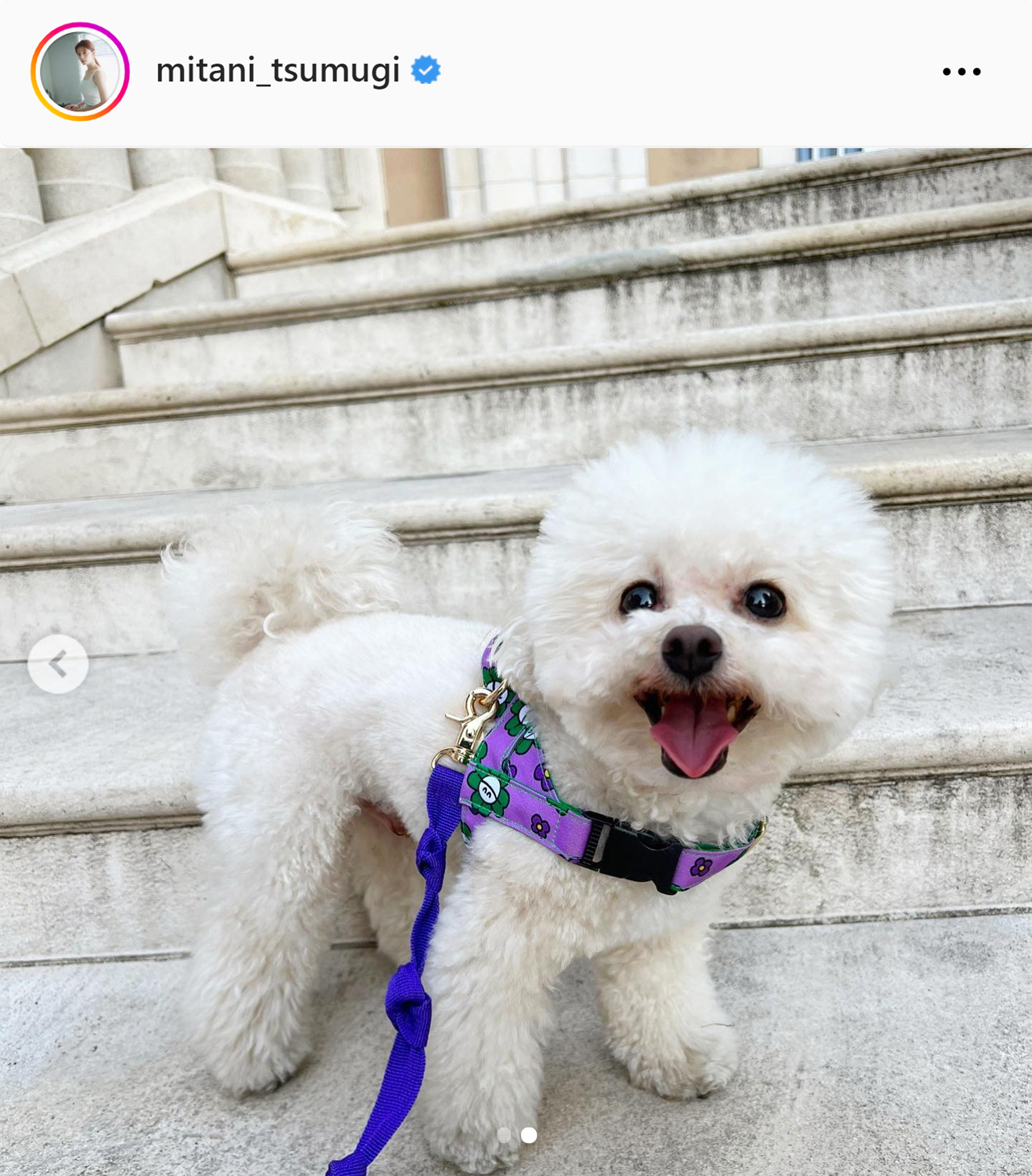 三谷紬アナのインスタグラムから