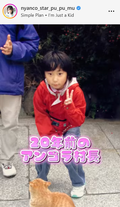 にゃんこスターのアンゴラ村長のインスタグラムから