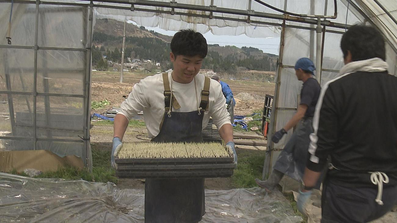 苗箱は見た目以上にずしりと重い。4月中旬、わずか30枚ほど運んだだけでも汗をかきました