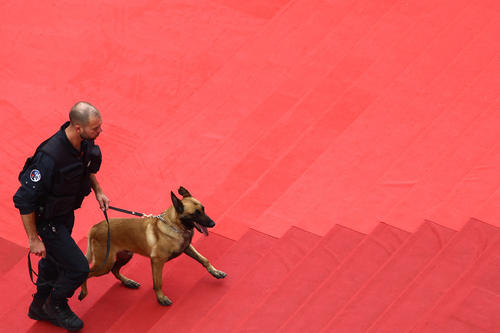 レッドカーペットのチェックのために警察犬を連れて歩く警察官（ロイター）