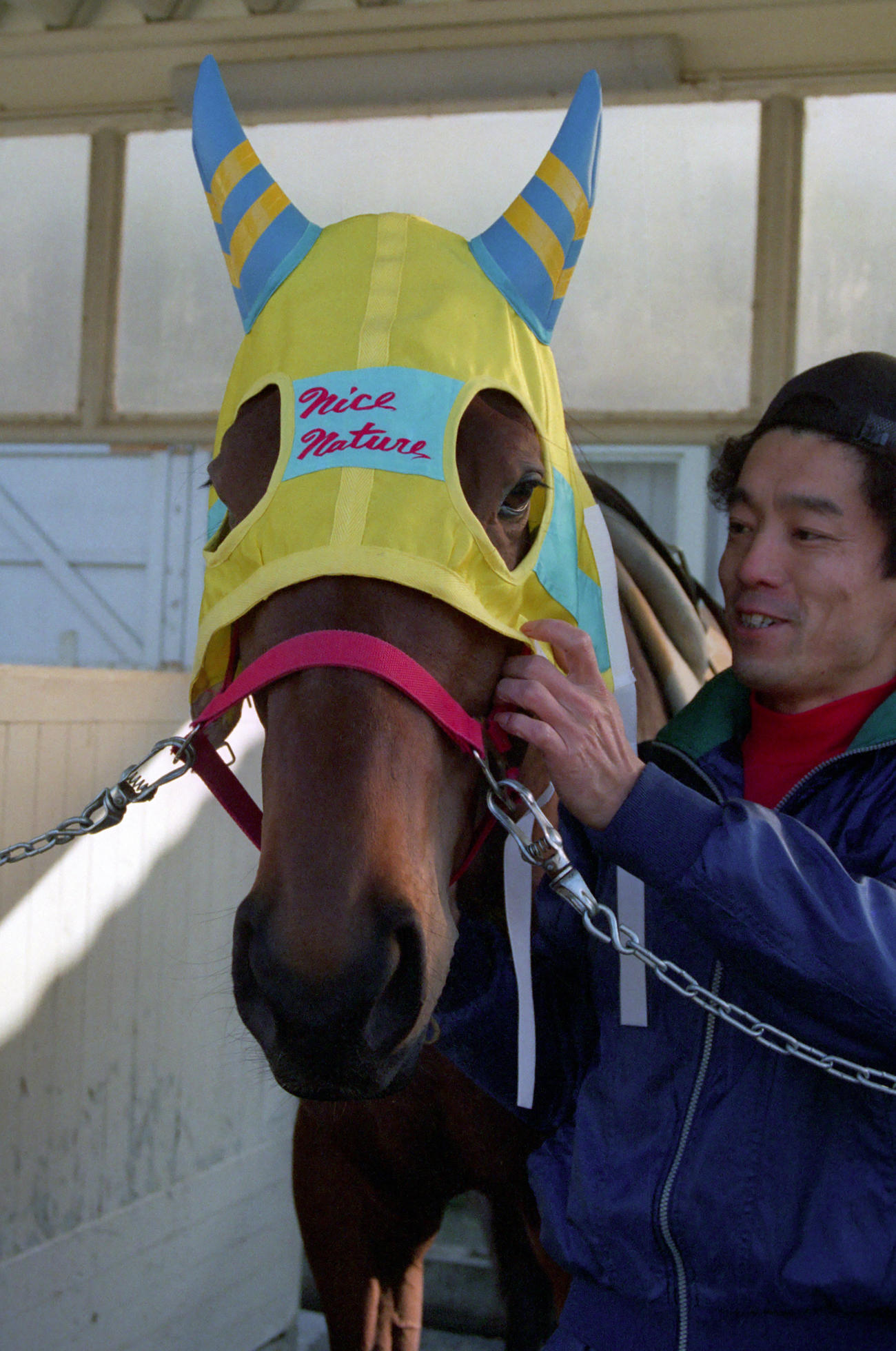 1991年12月、有馬記念に向けた調教後のナイスネイチャ