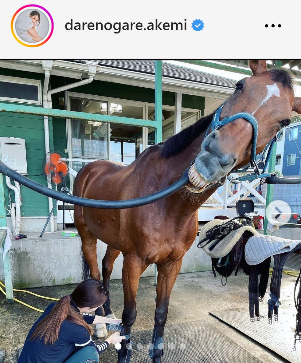 愛馬の脚を洗うダレノガレ明美（ダレノガレ明美のインスタグラムから）