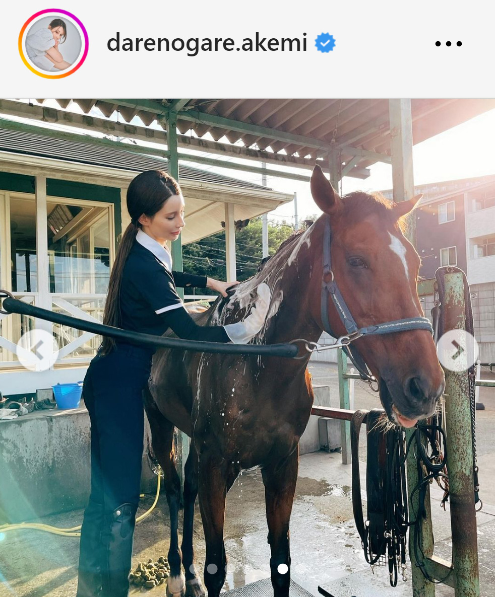 愛馬の体を洗うダレノガレ明美（ダレノガレ明美のインスタグラムから）