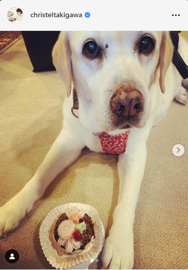 滝川クリステルのインスタグラムから