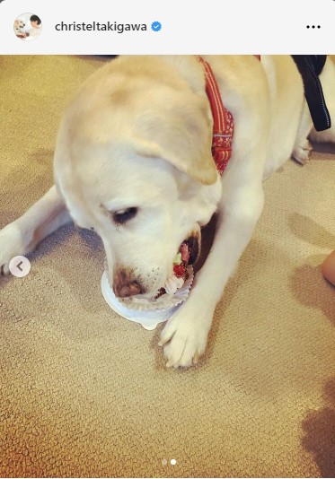 滝川クリステルのインスタグラムから