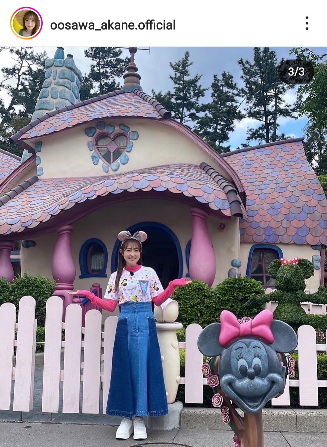 大沢あかねのインスタグラムから