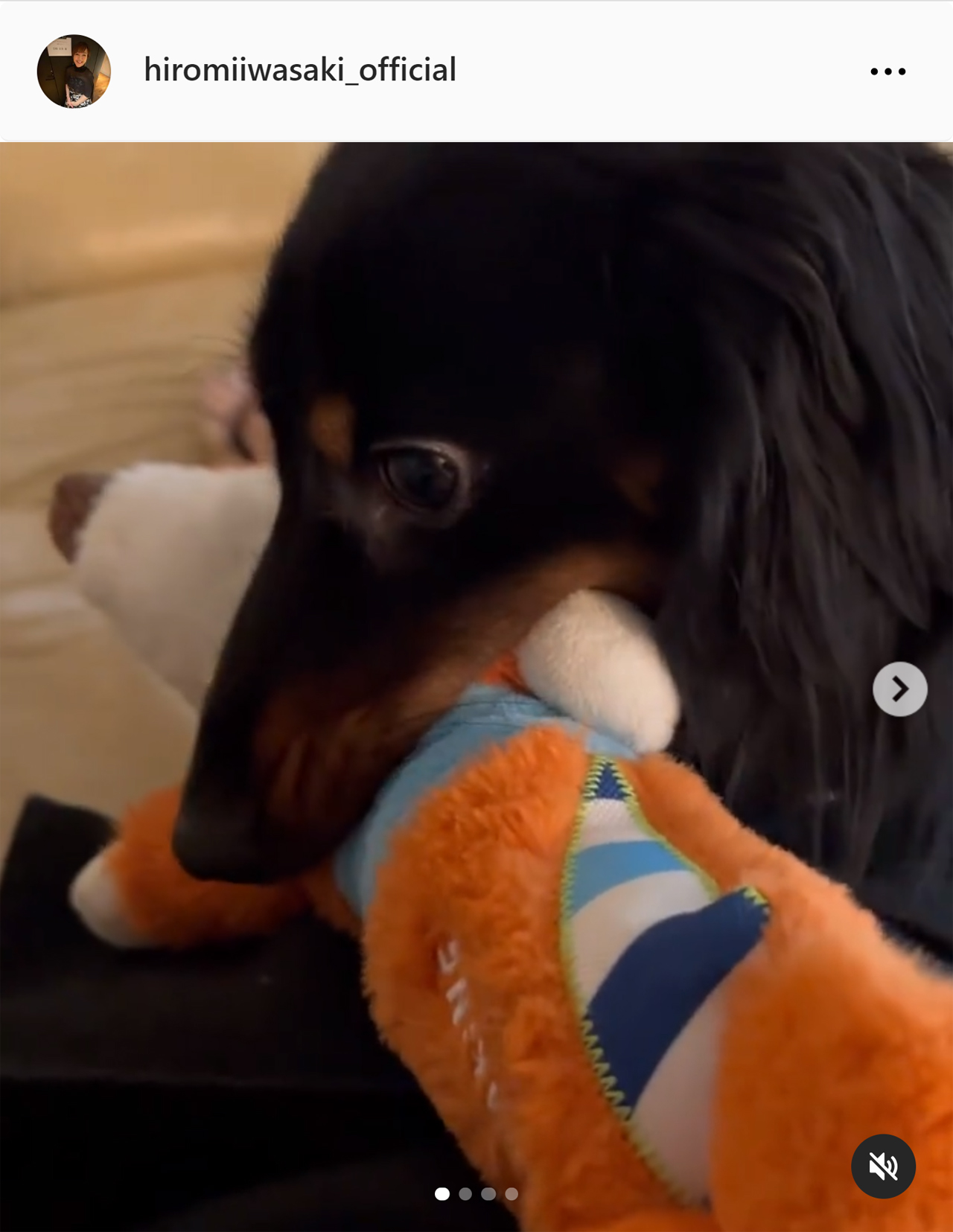 岩崎宏美のインスタグラムから