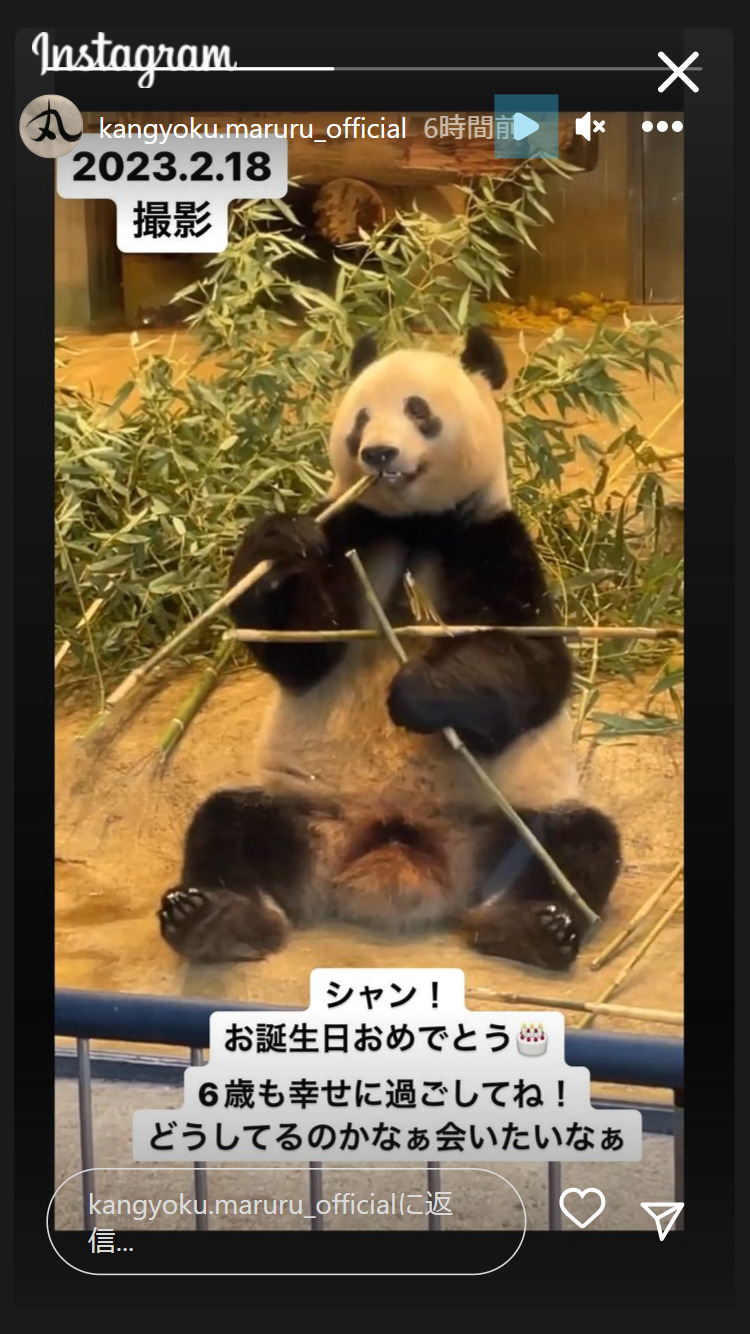中村莟玉のインスタグラムから