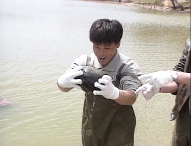 「巨大シジミ発見！？」（95年4月21日放送）（C）ABCテレビ