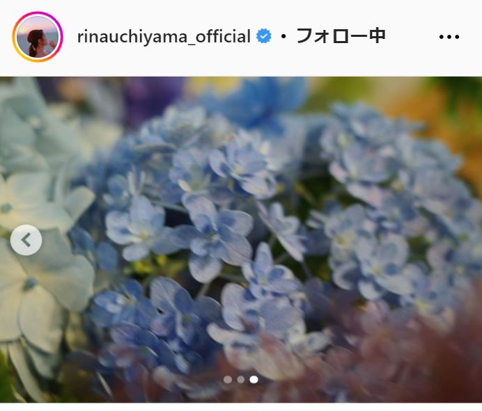 内山理名のインスタグラムから