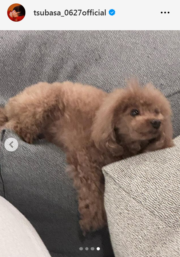 本田翼のインスタグラムから