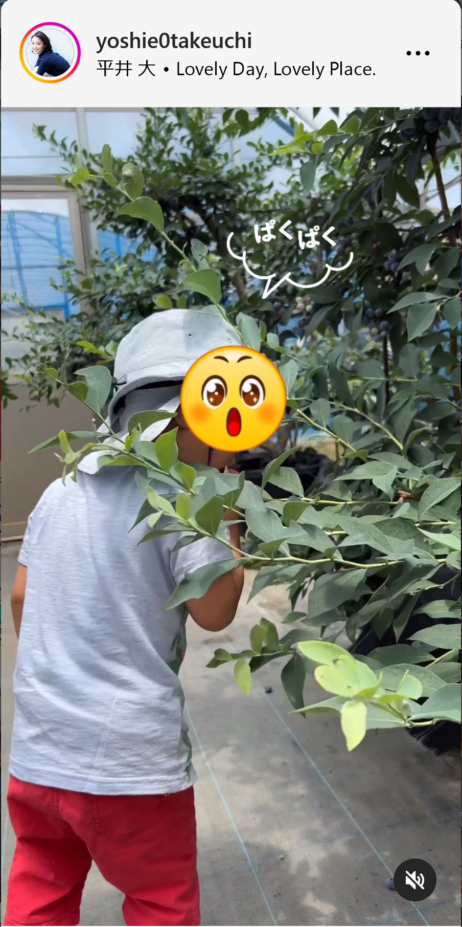竹内由恵アナのインスタグラムから