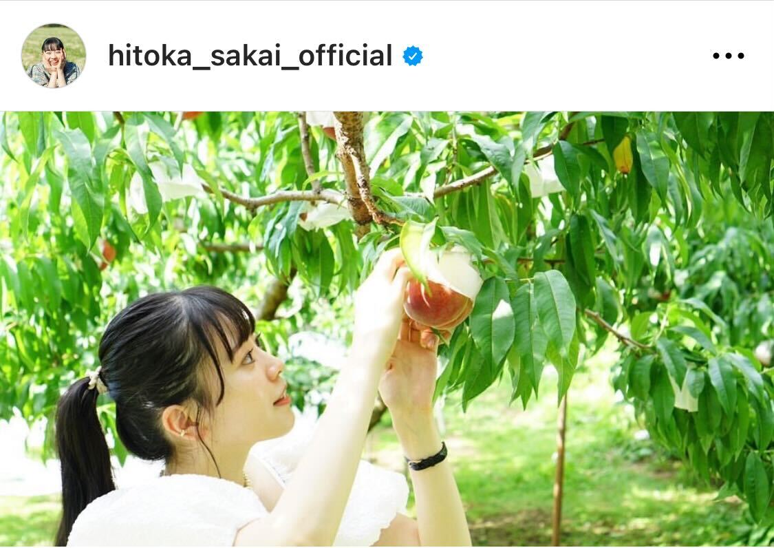 もも狩りに出かけた様子を公開した超ときめき宣伝部の坂井仁香（坂井仁香のインスタグラムから）