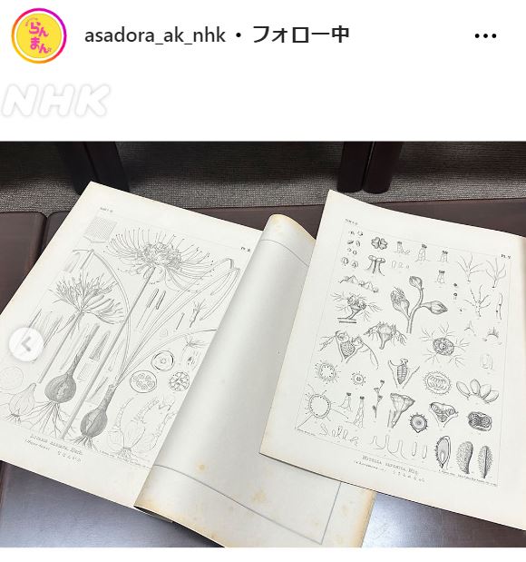 「らんまん」公式インスタグラムから