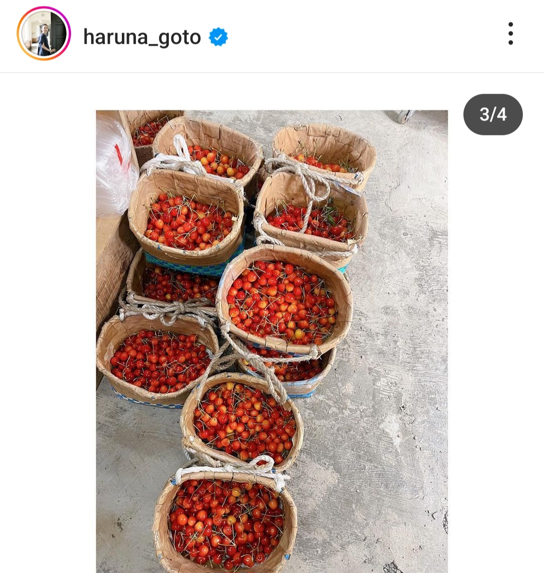 後藤晴菜のインスタグラムから