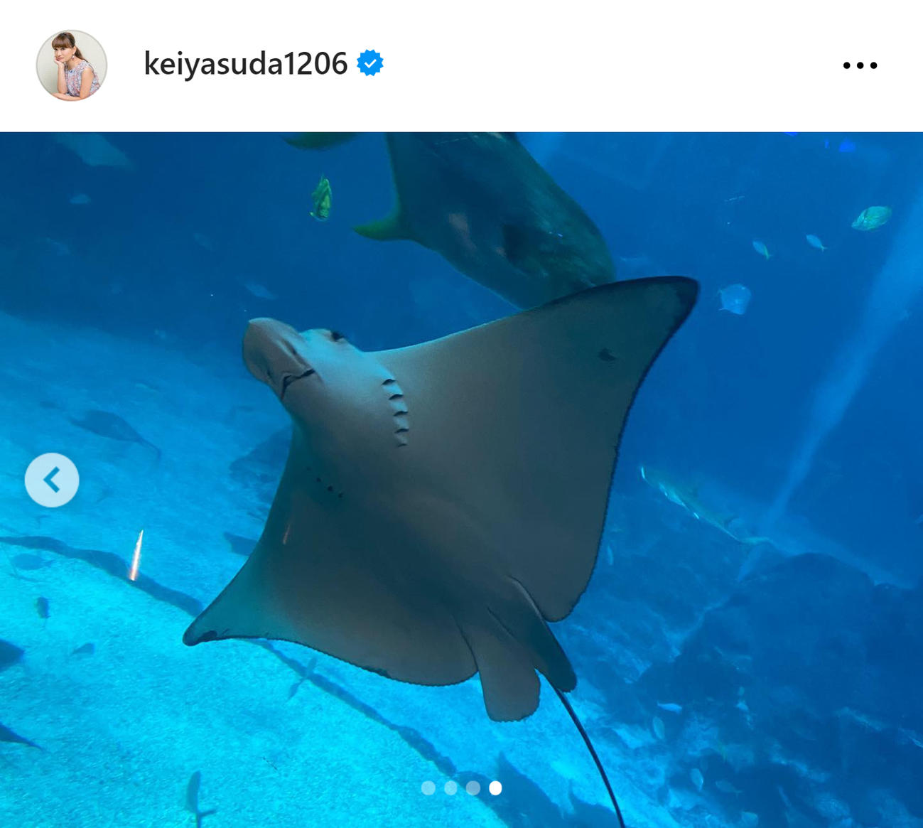 保田圭のインスタグラムから