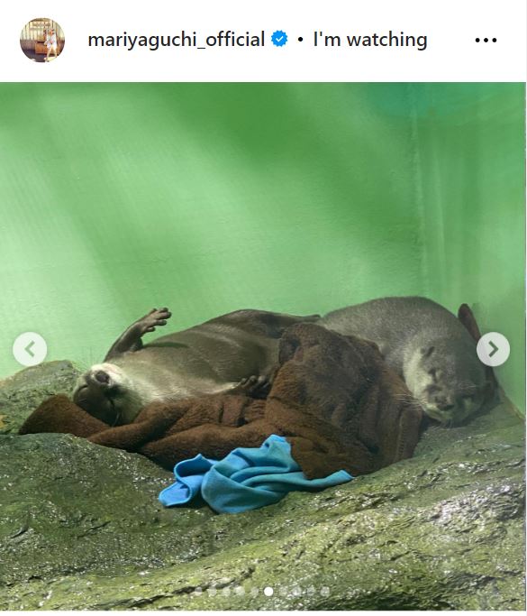 矢口真里のインスタグラムから