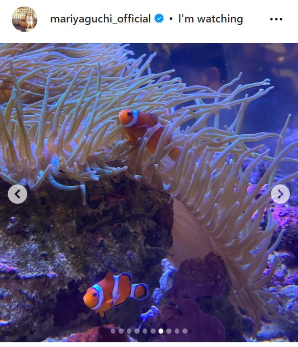 矢口真里のインスタグラムから