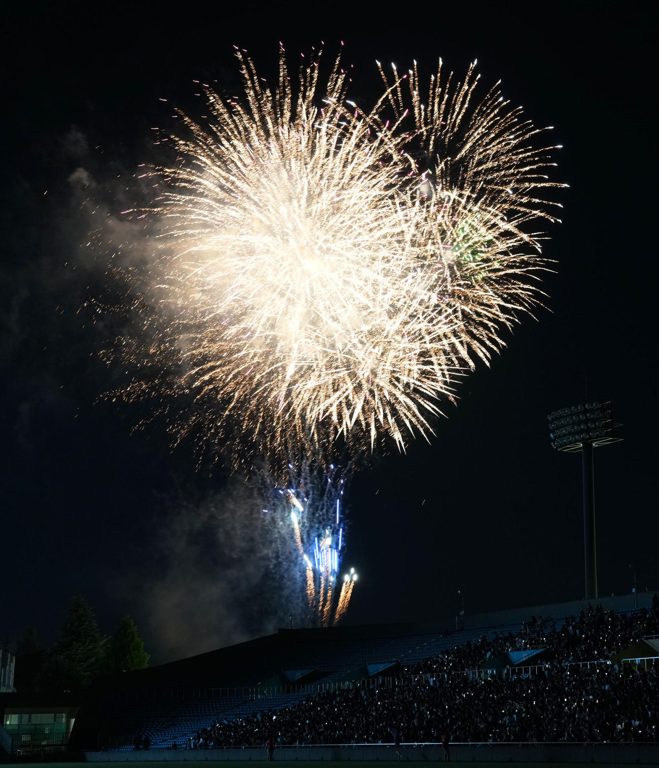 神宮の空を彩る花火（撮影・横山健太）