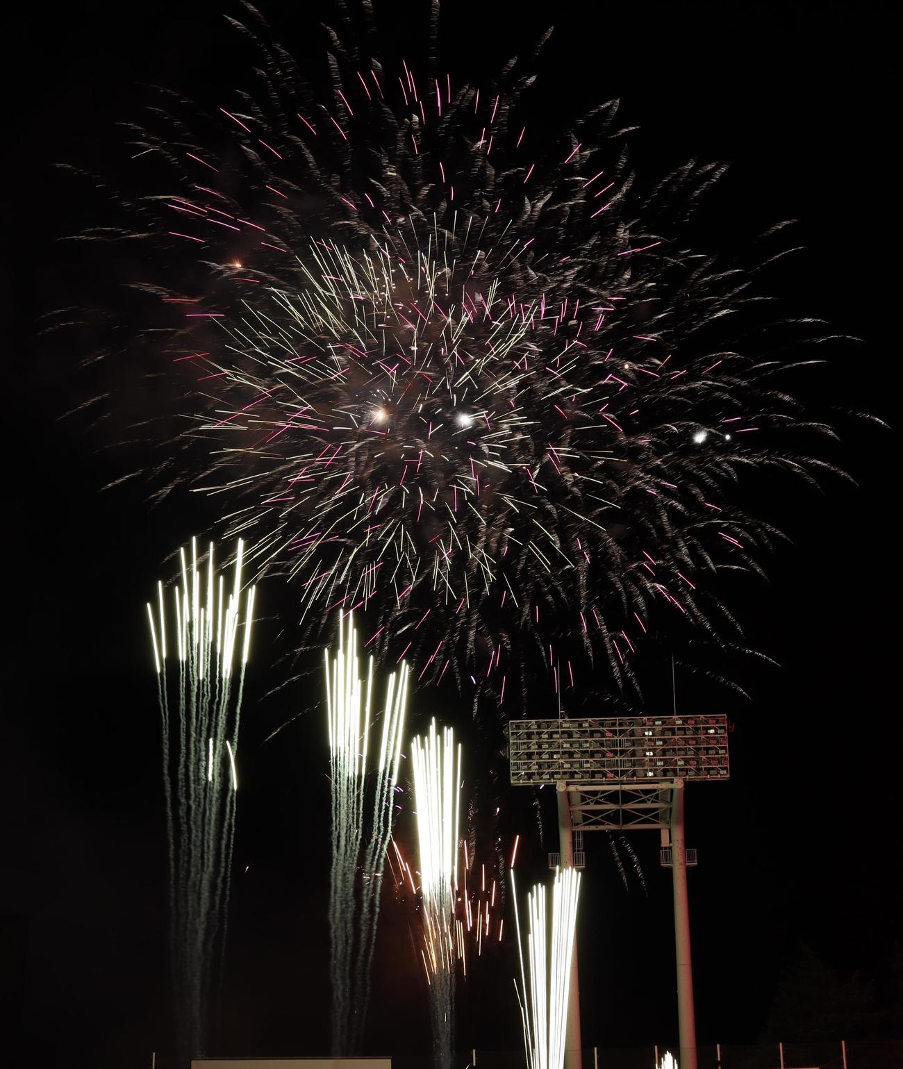 神宮外苑花火大会で舞い上がる花火