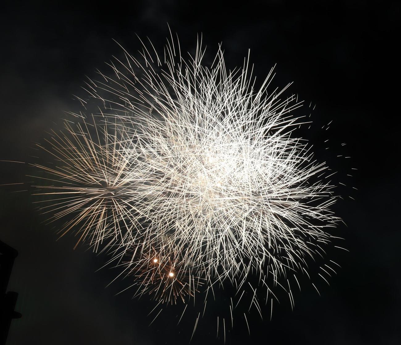 神宮外苑花火大会で舞い上がる花火