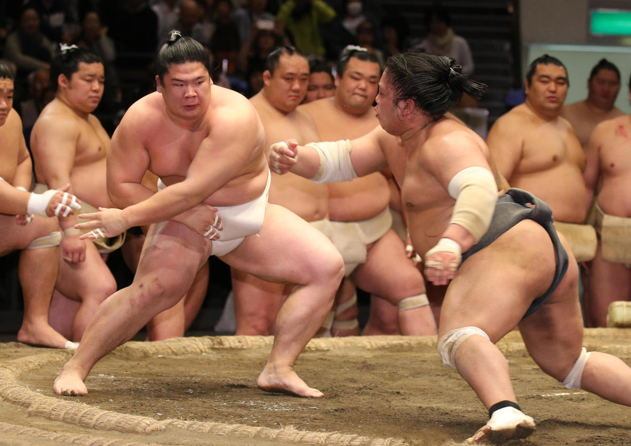 稽古総見で宇良（左）と相撲を取る富栄（2016年4月29日撮影）