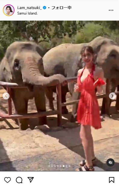 阿部なつきのインスタグラムから