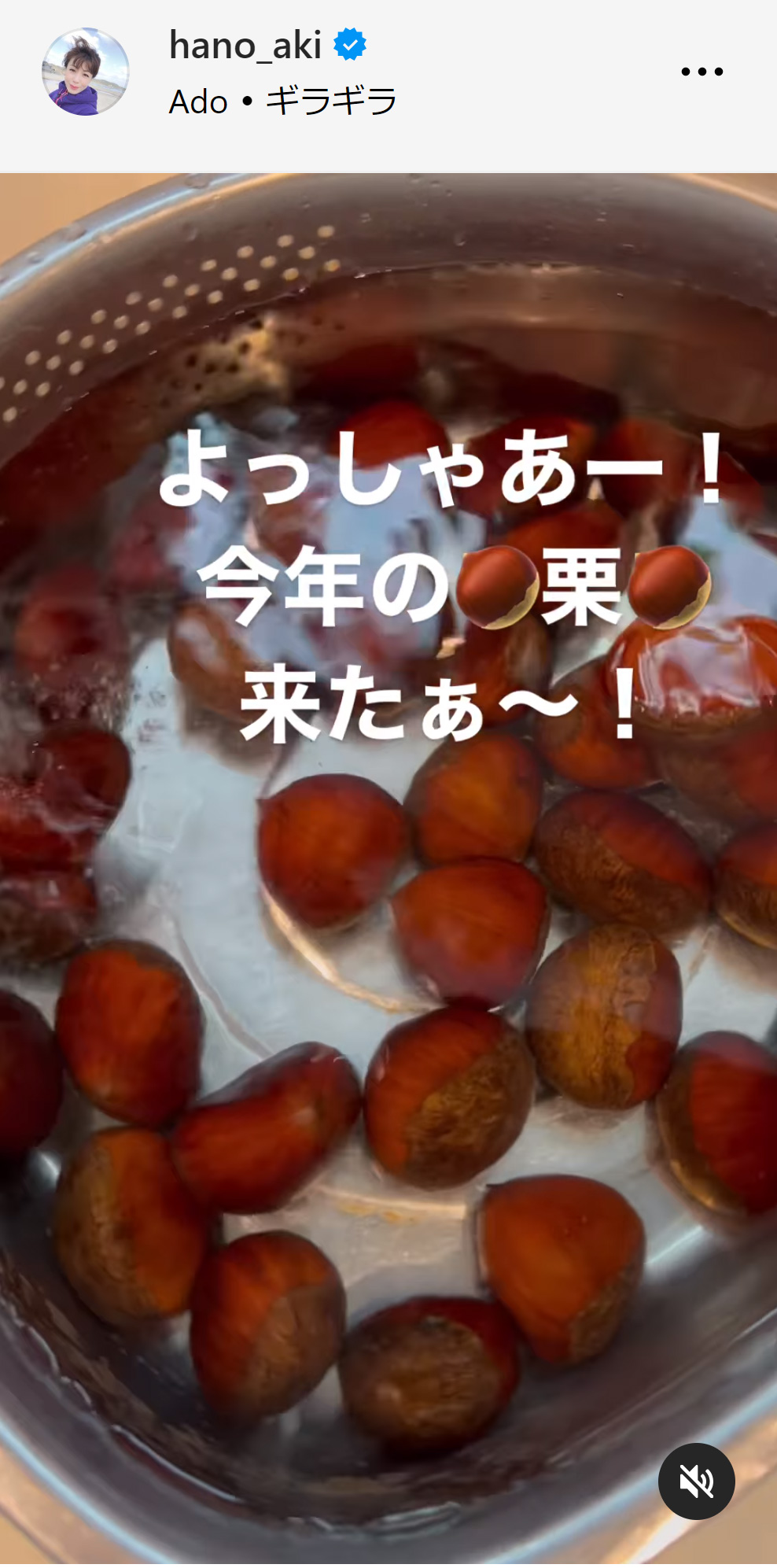羽野晶紀のインスタグラムから