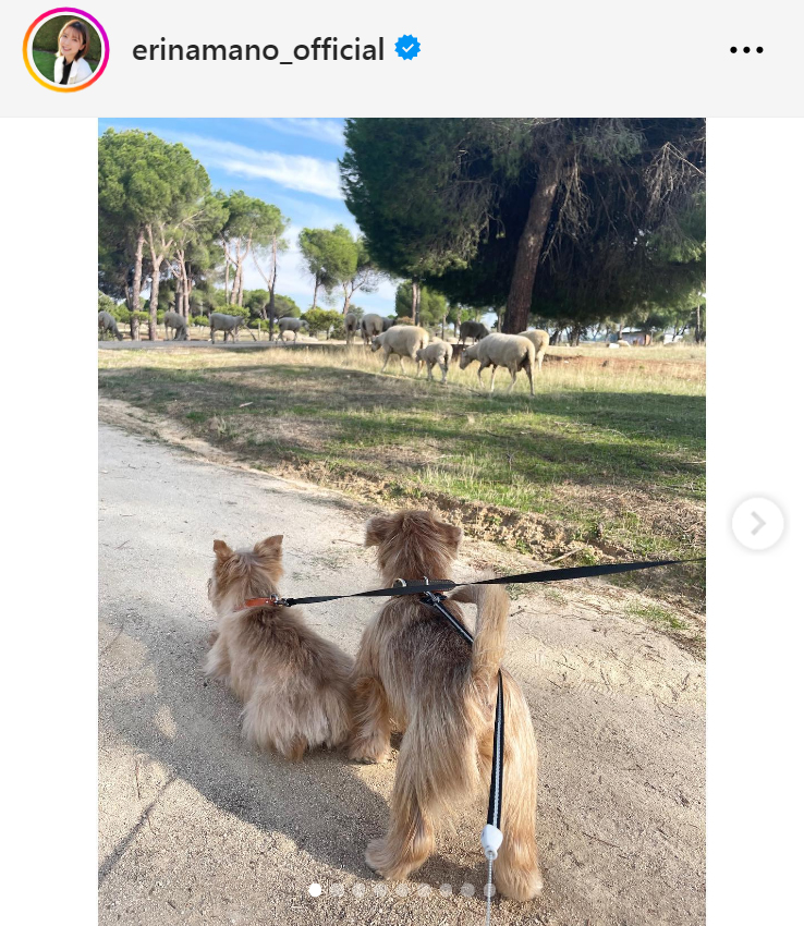 真野恵里菜のインスタグラムから