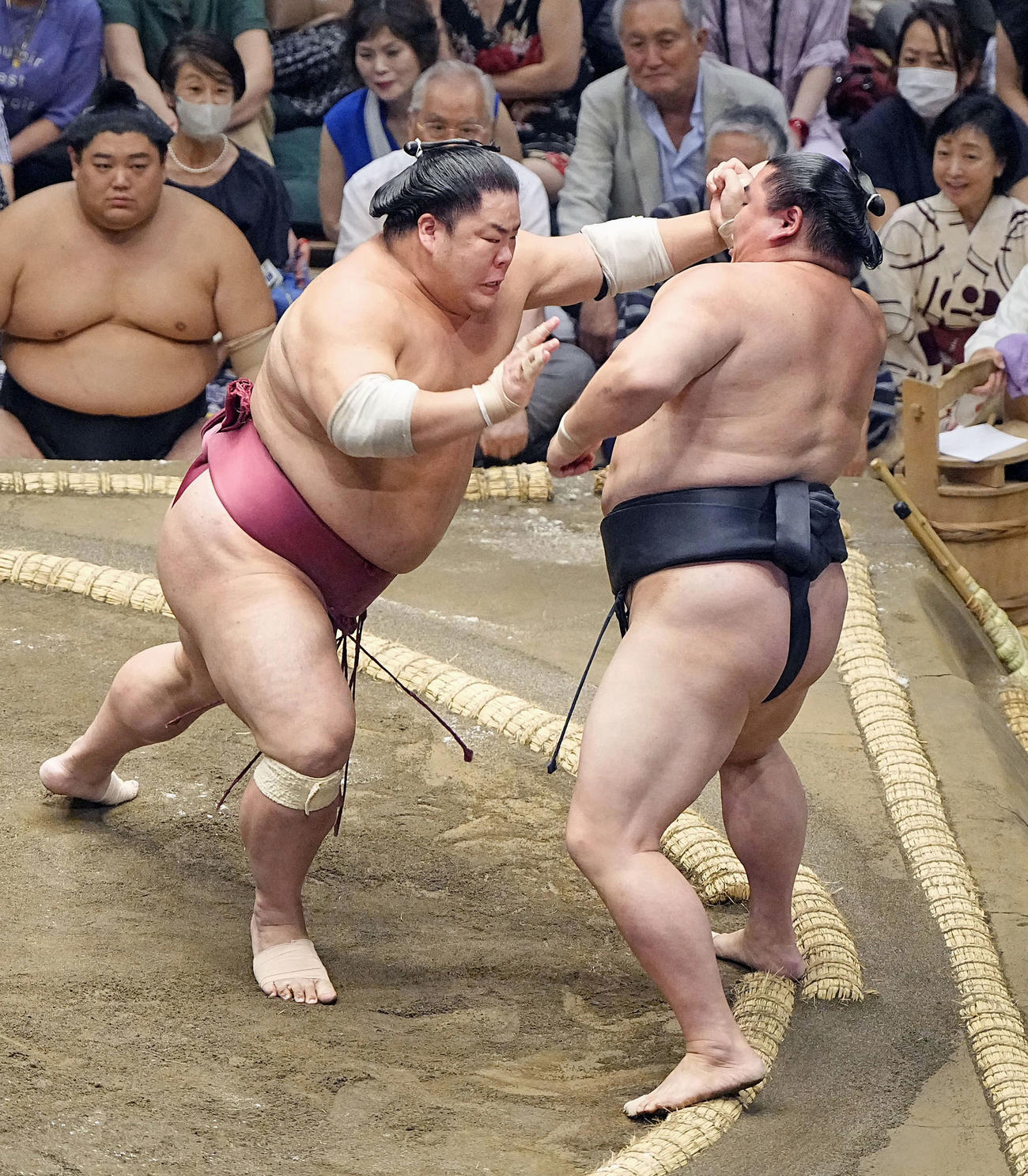 大栄翔－正代戦を見守る川上麻衣子（2023年9月11日撮影、共同）