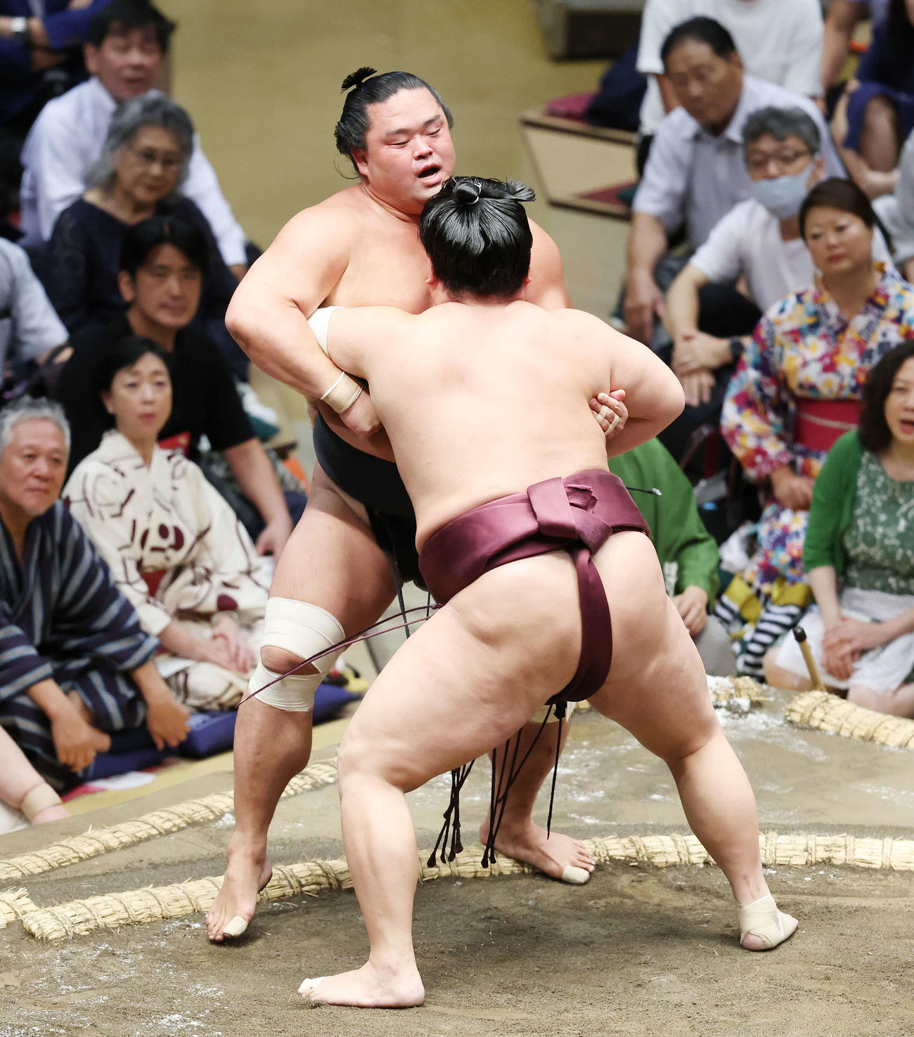 妙義龍－錦富士戦を見守る川上麻衣子（2023年9月11日撮影）