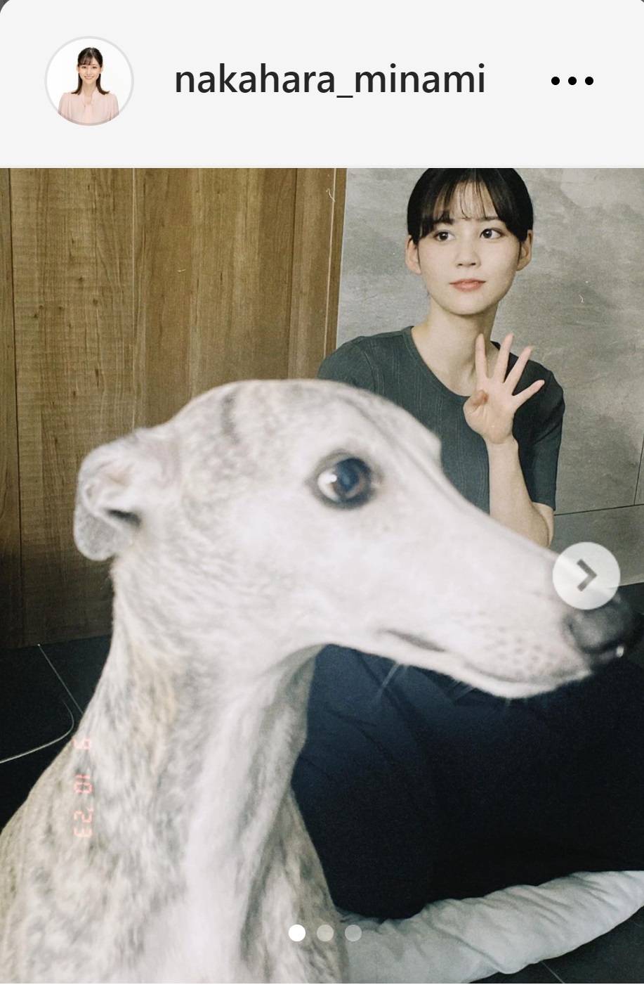 指で4を作る中原みなみアナと愛犬のウィペットのツーショット（中原みなみアナのインスタグラムから）
