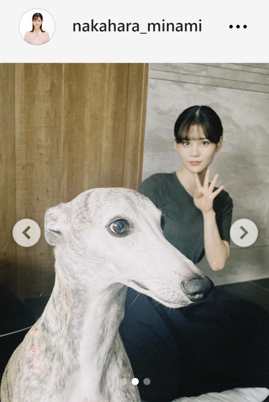 指で4を作る中原みなみアナと愛犬のウィペットのツーショット（中原みなみアナのインスタグラムから）