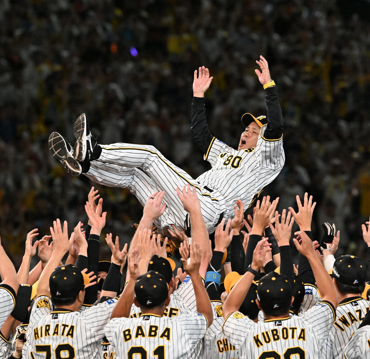 阪神対巨人　優勝を決め胴上げされる岡田監督（撮影・前岡正明）