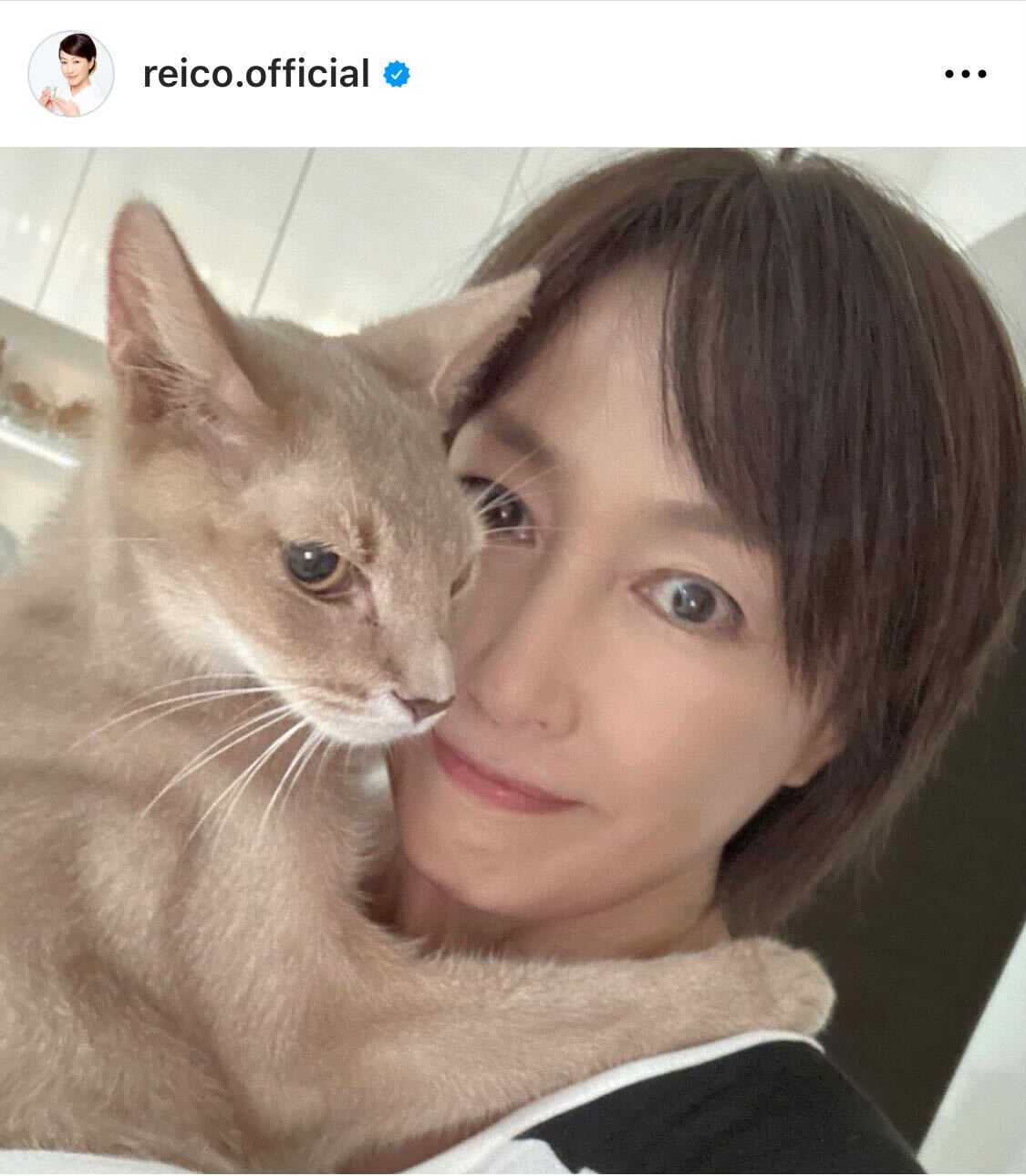 高島礼子、猫と暮らすオフショット（高島礼子のインスタグラムから）