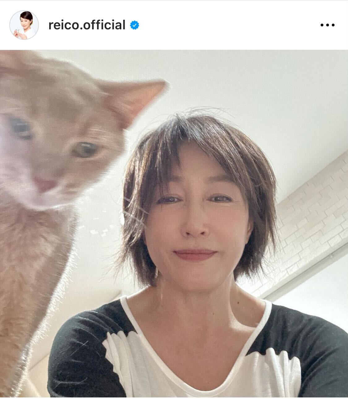 高島礼子、猫と暮らすオフショット（高島礼子のインスタグラムから）