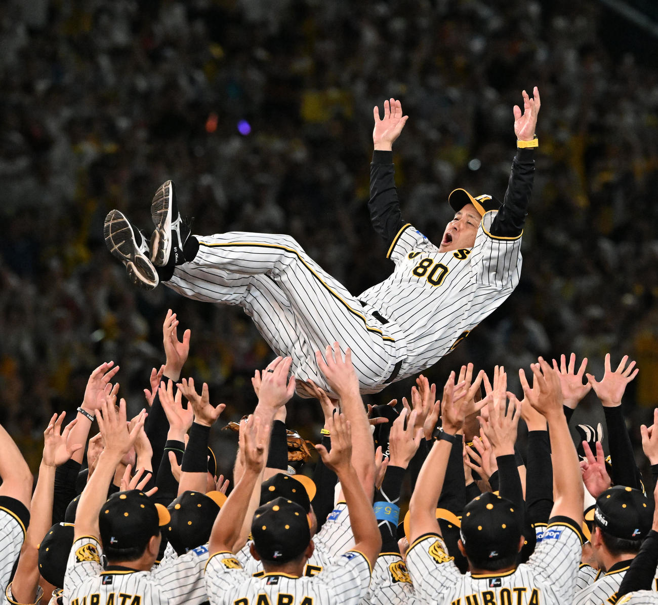 14日、優勝を決め胴上げされる岡田監督（撮影・前岡正明）