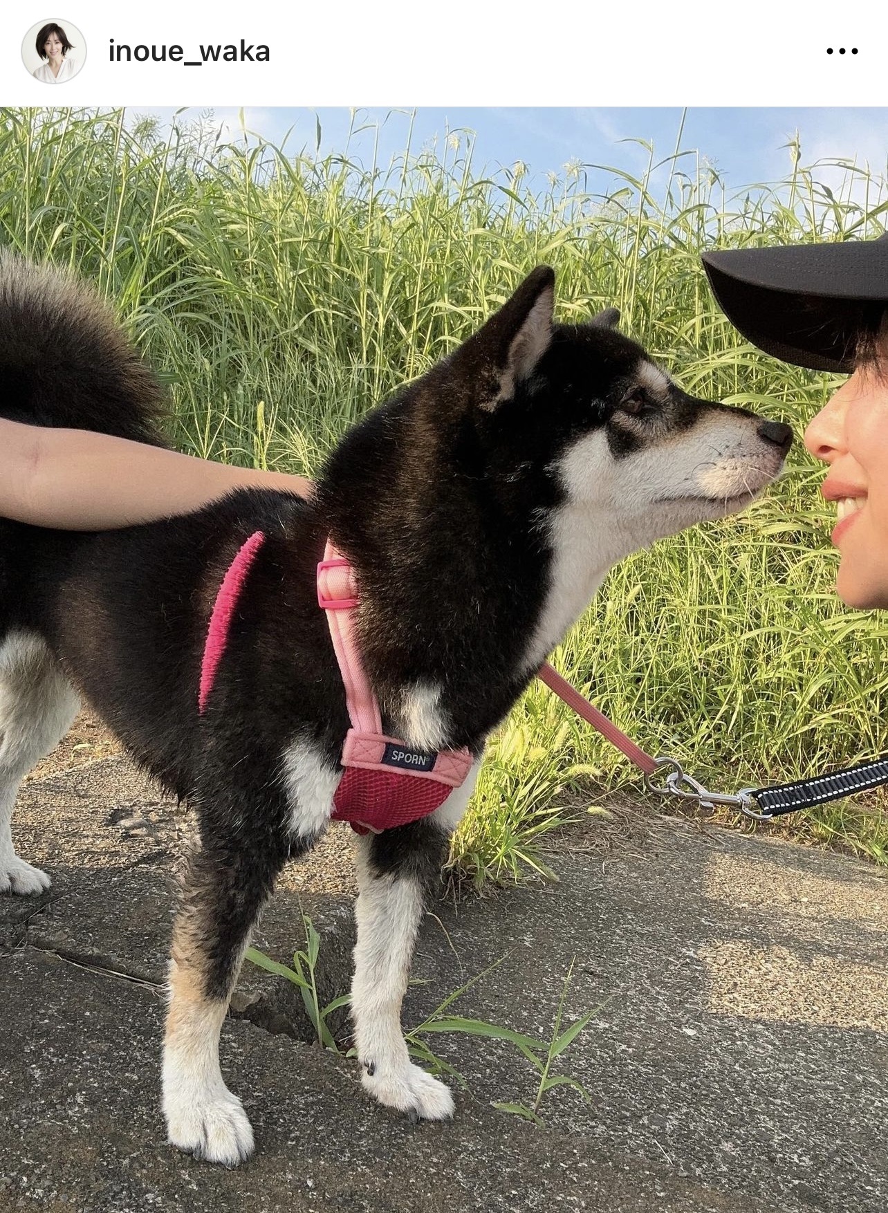 新しい家族の「めかぶ」と顔を寄せ合う井上和香（井上和香のインスタグラムから）