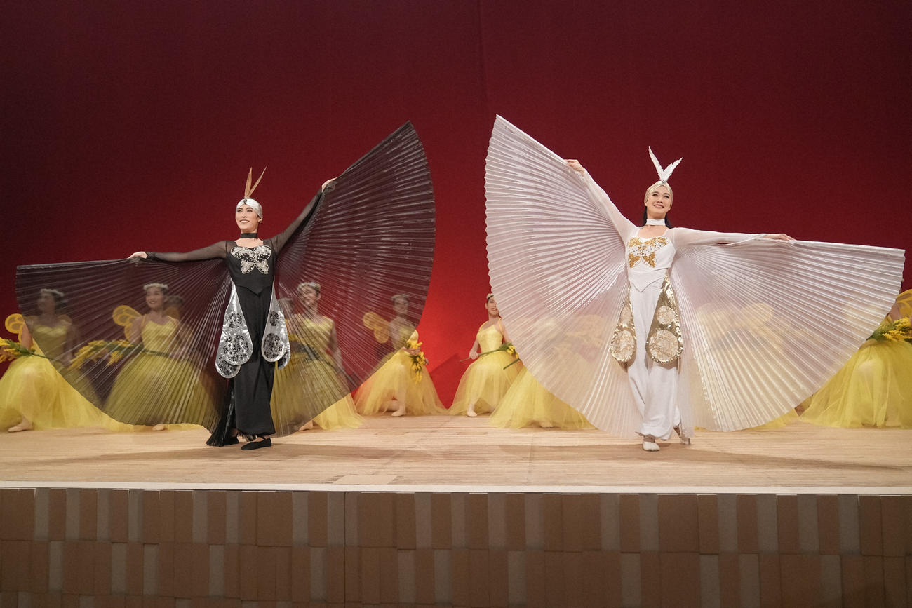 NHK連続テレビ小説「ブギウギ」の1場面（C）NHK